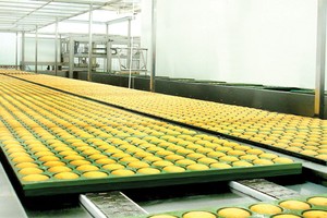 DN thực phẩm “tự tin” đón Tết